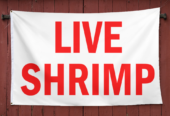 Live-Shrimp